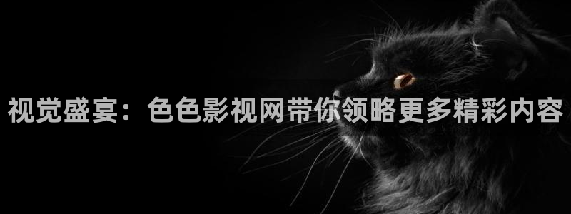 神马影院在线观看大全
