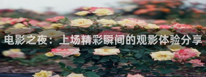 神马影院2018