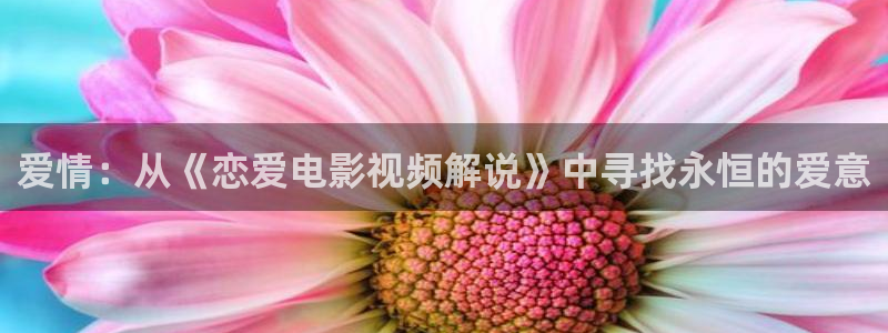 影视神马