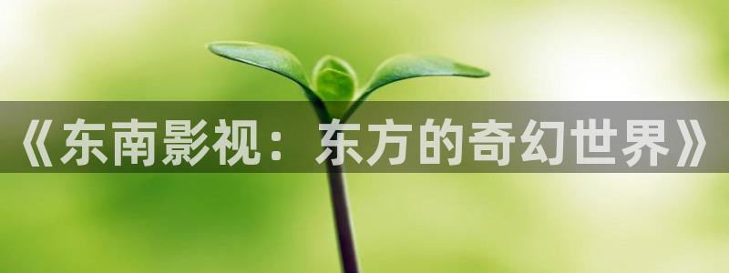 秋霞影院神马电影