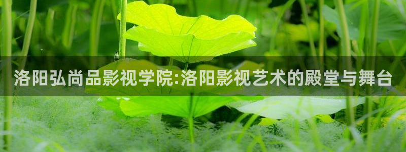 神马影院dy888影院