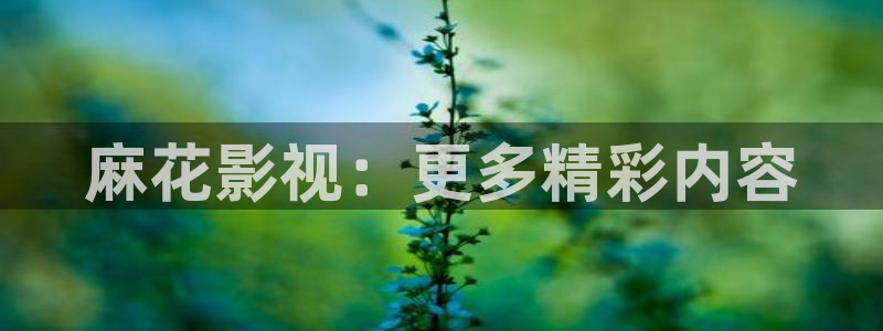 美丽小蜜桃神马影院