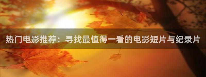 特战荣耀在线观看免费完整版神马影院