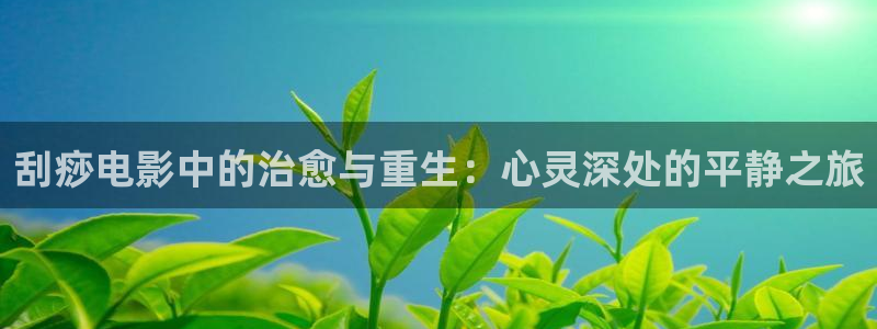 神马电影午夜电影