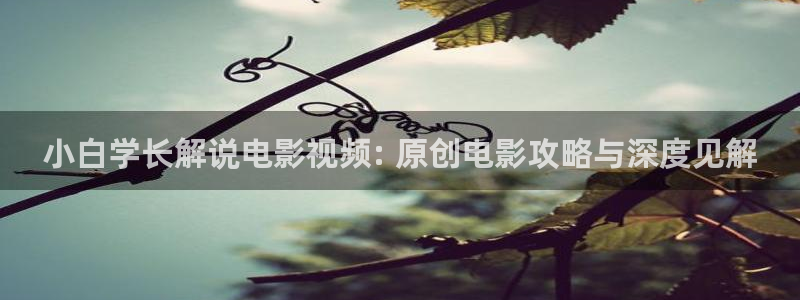 秋霞第九神马影院