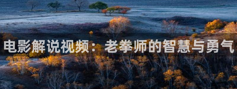 神马影院理伦在线观看