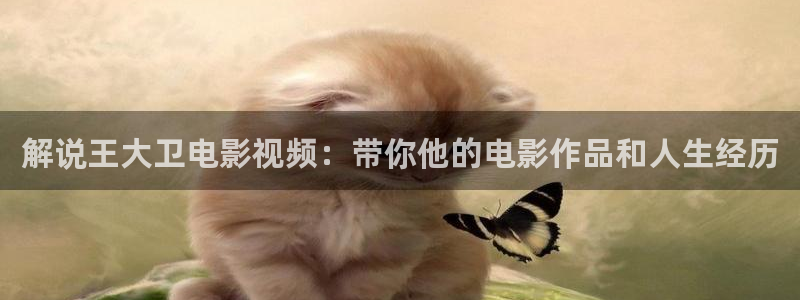 三级伦理片神马影院