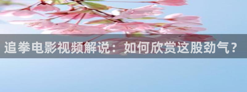 午夜神马理论影院
