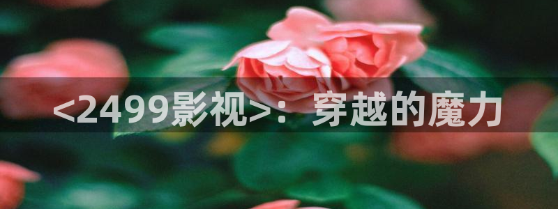 神马电影我不