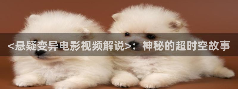 神马影院九圣影院