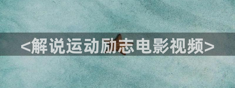 神马达达兔电视剧播放