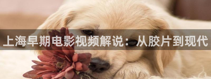 神马影院在线成人