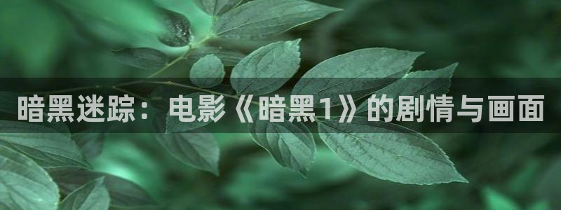 神马六度影视