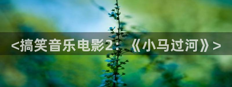 神马在线伦理视频在线观看