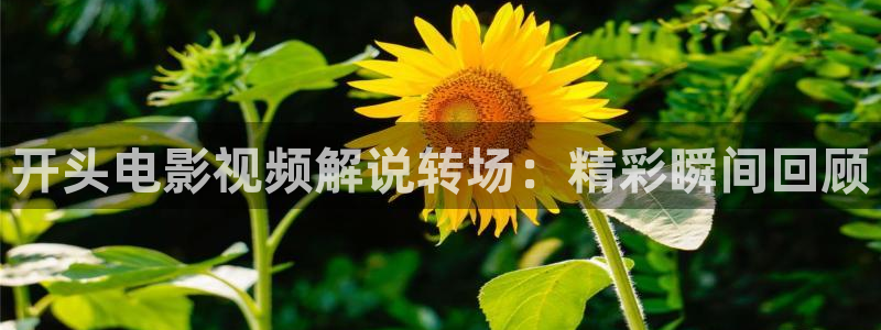 神马影院97伦理