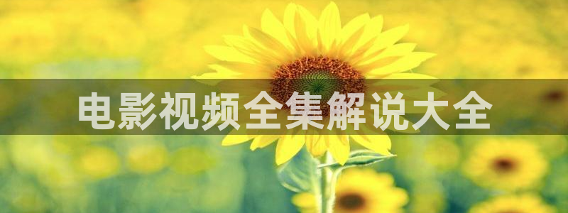 神马影院大全免费观看电视剧电视剧