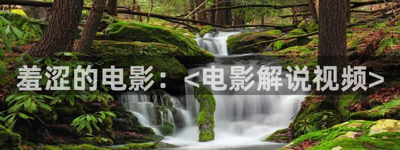 原来神马影院是免费的