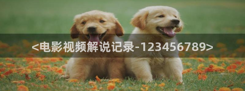 午夜神马在线影院