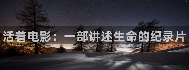 神马电影限制级