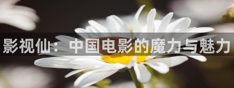 神马电影伦理在线