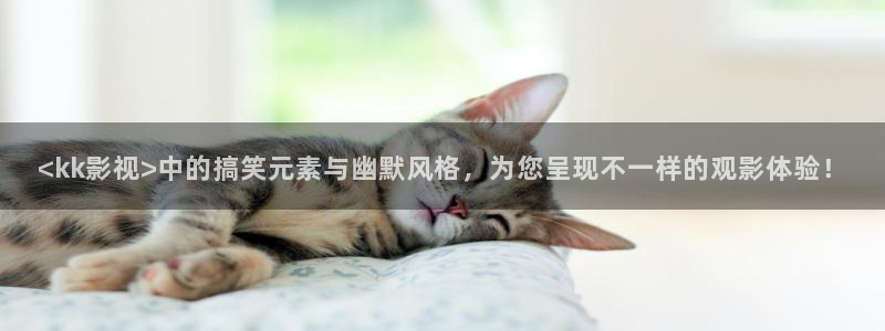 good神马电影伦理午夜