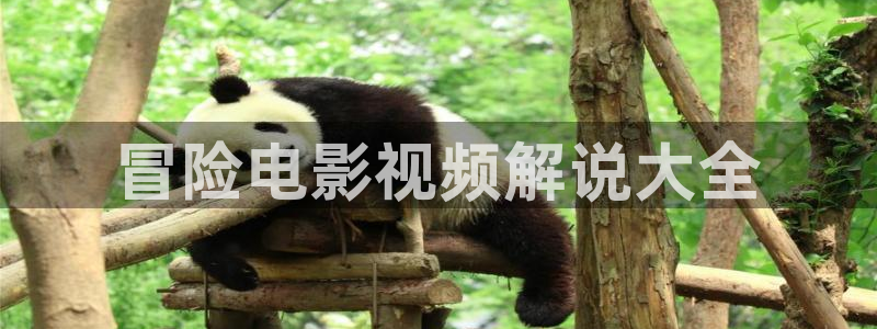 爱上神马影院