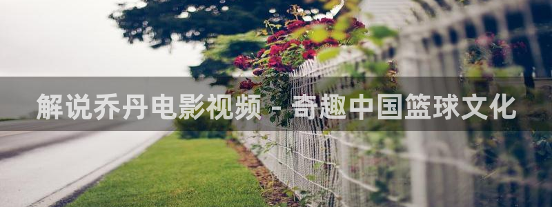 神马电影院电视剧视免费