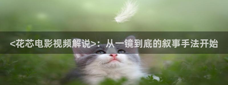 神马影院桥矿
