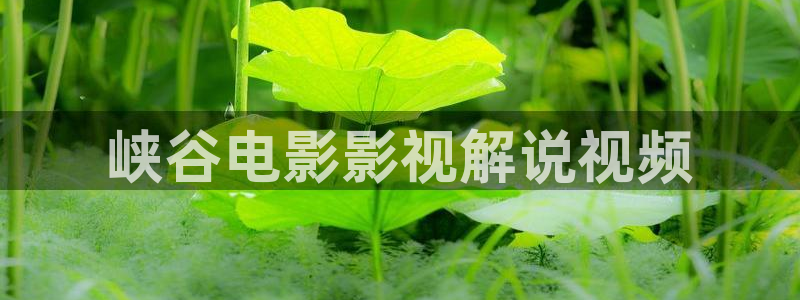 神马影院电影伦理片