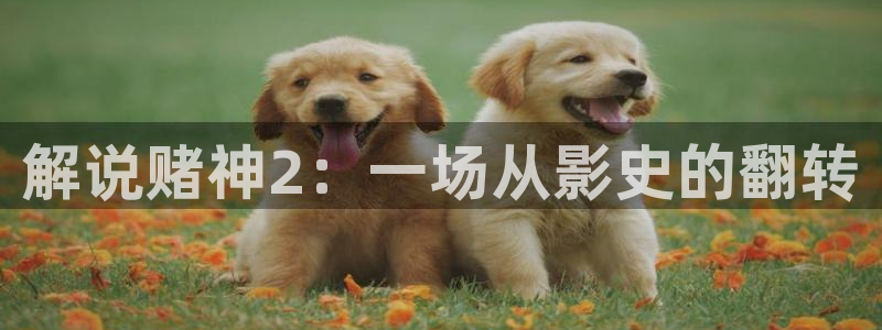 我不是什么神马影院网