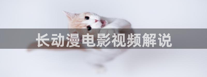 最新电影 神马