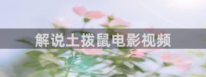 神马影院不卡不卡