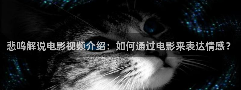亚洲第一区神马影院在线观看