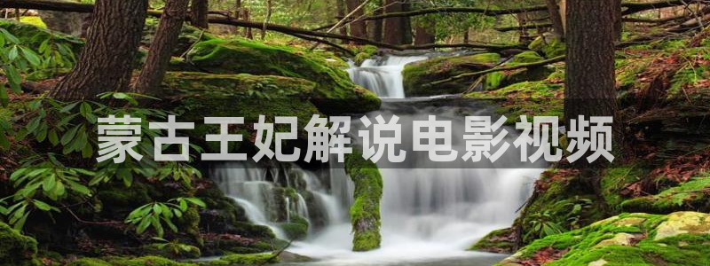 神马影院 在线观看