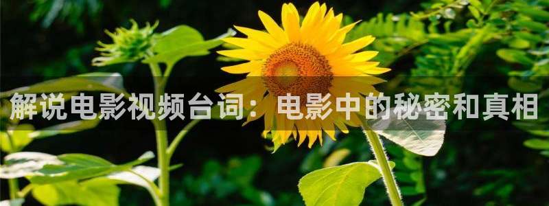 神马影院第九影区