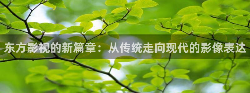 神马影院神马影院在线观看