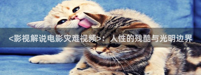 神马电影妻子的情人