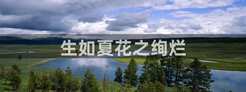 神马电影院手机在线播放