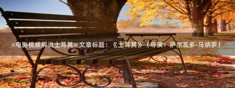 神马电影剧情