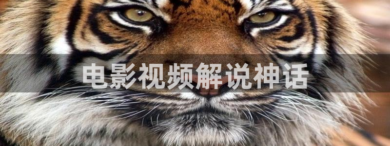 神马影院轮理片