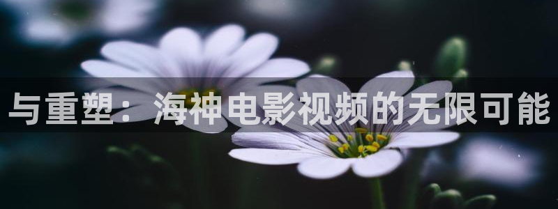 神马不卡我不卡秋霞影院