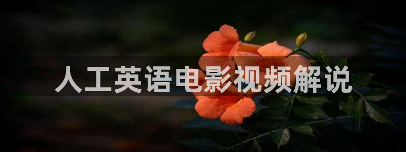 神马影院电视